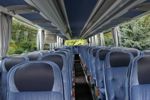 Gerumige Pfiff- Reisen Busse bringen euch ans Ziel
